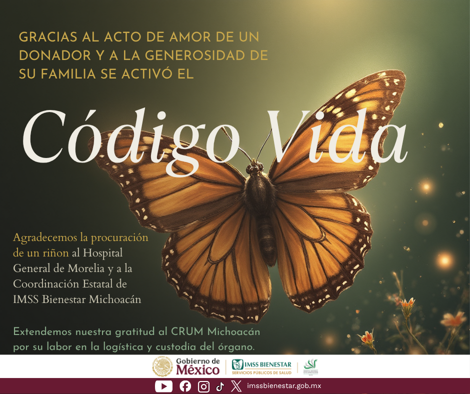 copiadedonantedearganosconcintillo.png